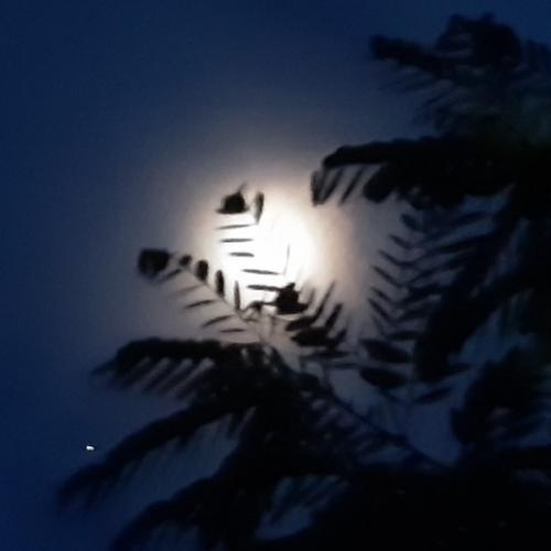 สมาชิกหมายเลข 6015724