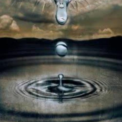 สมาชิกหมายเลข 4305708