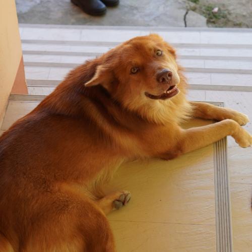 สมาชิกหมายเลข 5659341