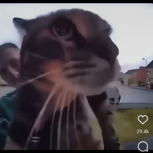 สมาชิกหมายเลข 4276267