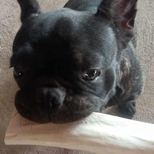 สมาชิกหมายเลข 7724736