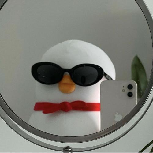 สมาชิกหมายเลข 7919071