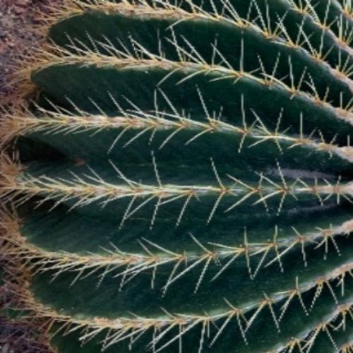 สมาชิกหมายเลข 903426