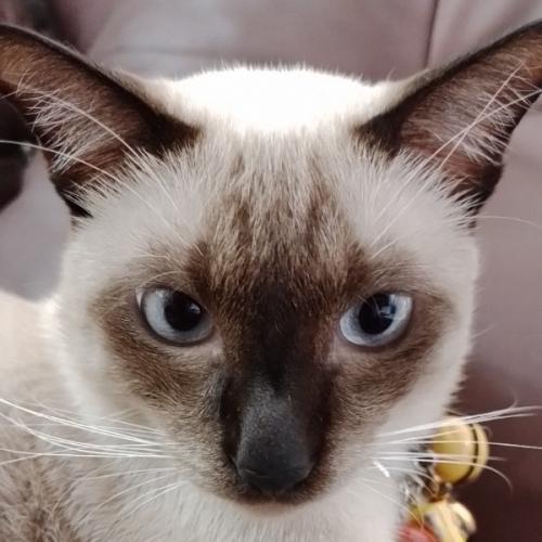 สมาชิกหมายเลข 2773535