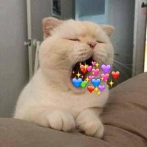 สมาชิกหมายเลข 8933525