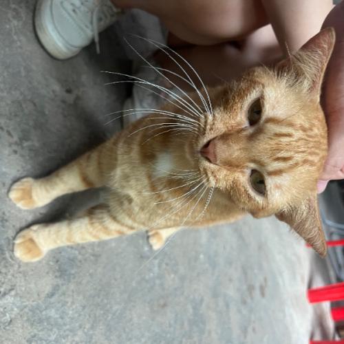 สมาชิกหมายเลข 8939765