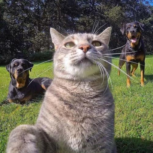 สมาชิกหมายเลข 4209334