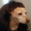 สมาชิกหมายเลข 4209774