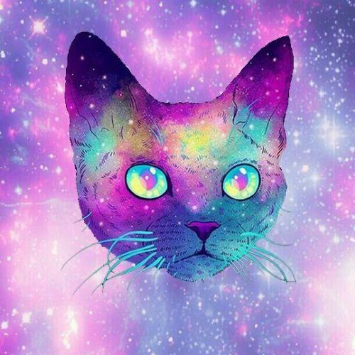 สมาชิกหมายเลข 4954353