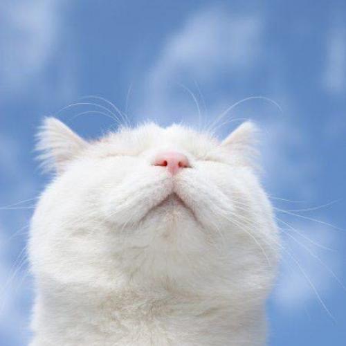 สมาชิกหมายเลข 2235807