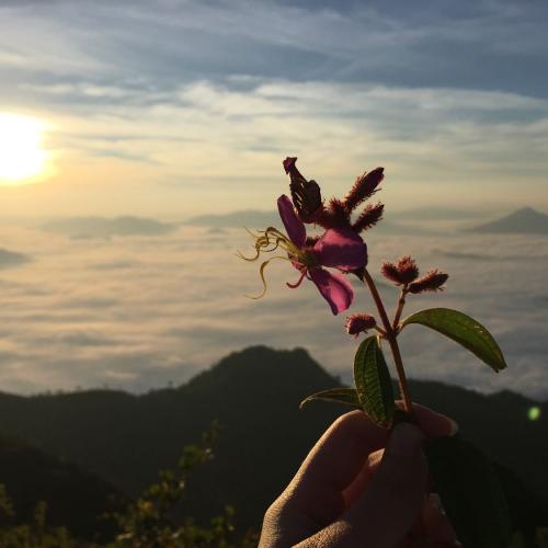 สมาชิกหมายเลข 5354588