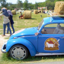 สมาชิกหมายเลข 5354631