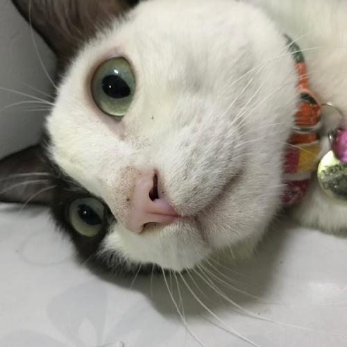 สมาชิกหมายเลข 2283456