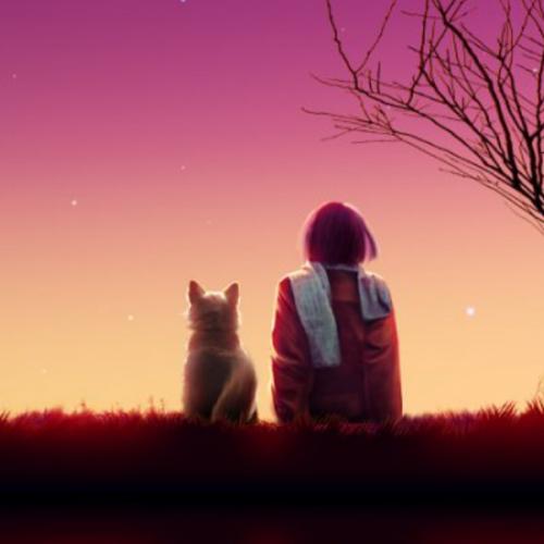 สมาชิกหมายเลข 3759170