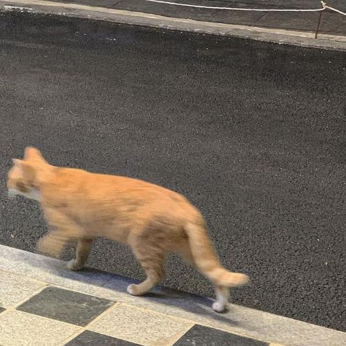 สมาชิกหมายเลข 4873443