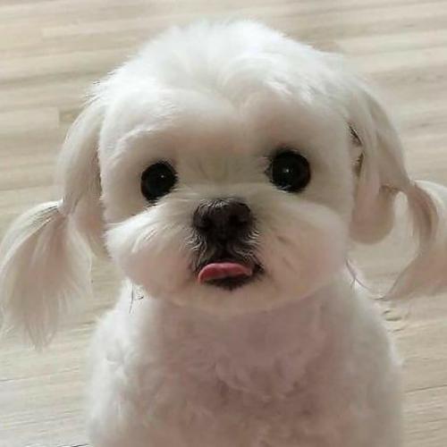 สมาชิกหมายเลข 6438478