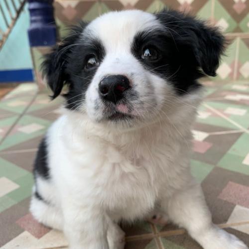 สมาชิกหมายเลข 6438574