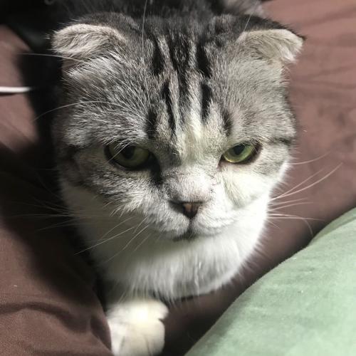 สมาชิกหมายเลข 6169358