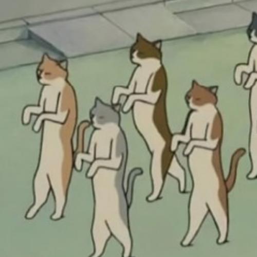 สมาชิกหมายเลข 7923097