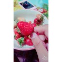 สมาชิกหมายเลข 3581580
