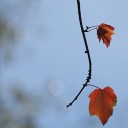 สมาชิกหมายเลข 3745843