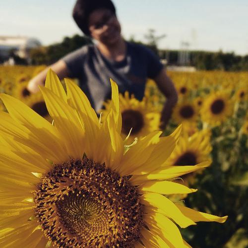 สมาชิกหมายเลข 2491892