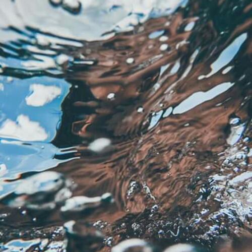 สมาชิกหมายเลข 4956846