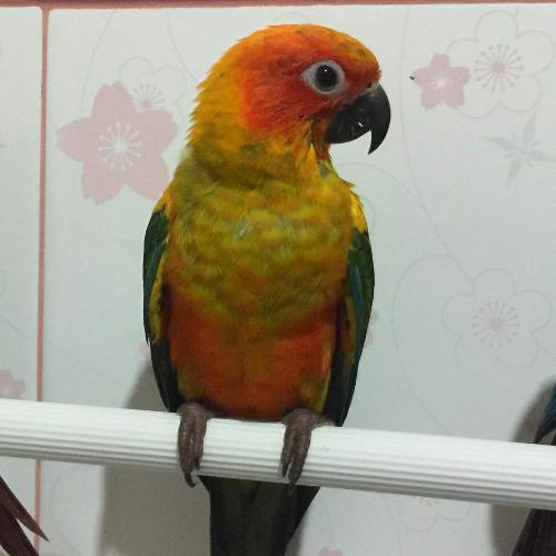 สมาชิกหมายเลข 4452673