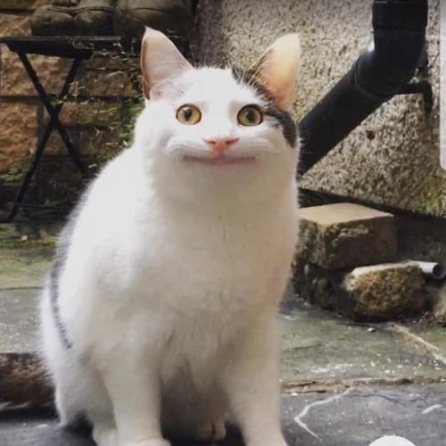 สมาชิกหมายเลข 5654835