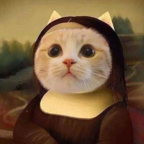 สมาชิกหมายเลข 2455132