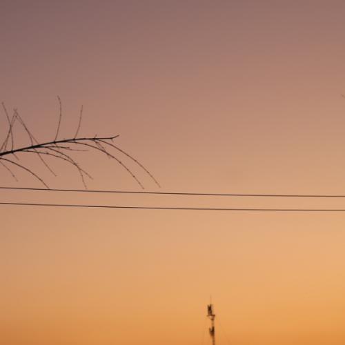 สมาชิกหมายเลข 5619056