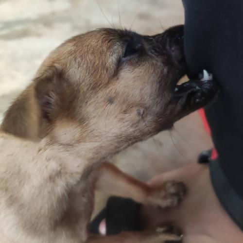 สมาชิกหมายเลข 7917229