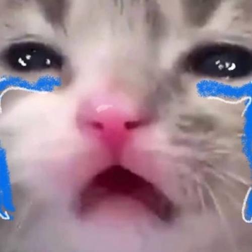 สมาชิกหมายเลข 8945055