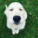 สมาชิกหมายเลข 1974266