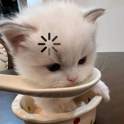 บ้อกฉ่อย