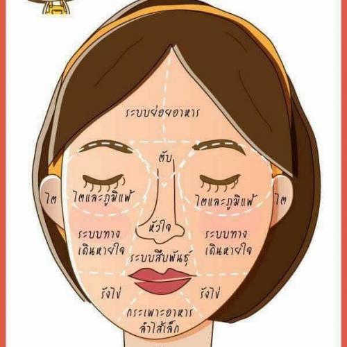 สมาชิกหมายเลข 4606375