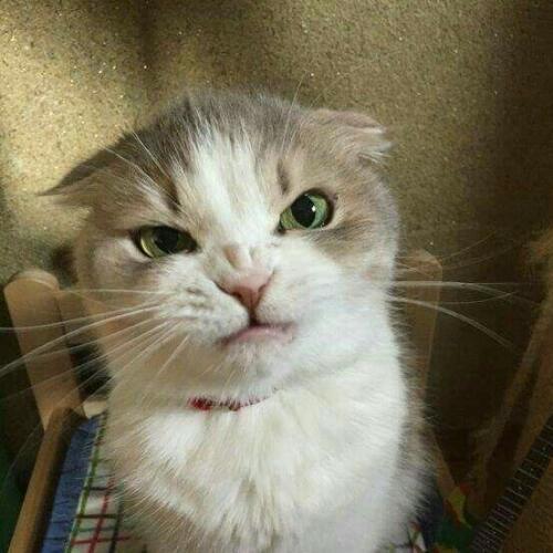 สมาชิกหมายเลข 4957811