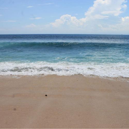 สมาชิกหมายเลข 1692490