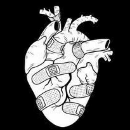 สมาชิกหมายเลข 5355502