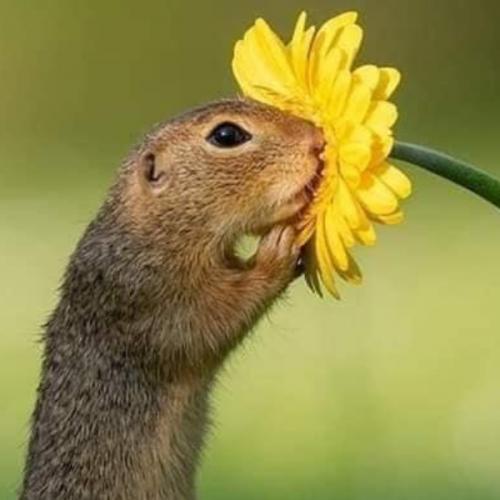 สมาชิกหมายเลข 1903635