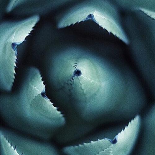 สมาชิกหมายเลข 2654631