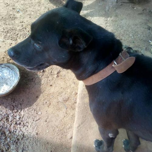 สมาชิกหมายเลข 5835867