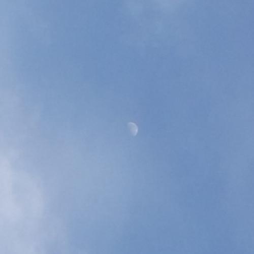 สมาชิกหมายเลข 6044570