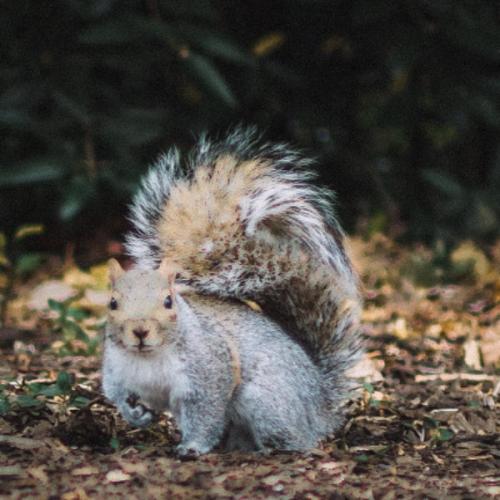 สมาชิกหมายเลข 6417457