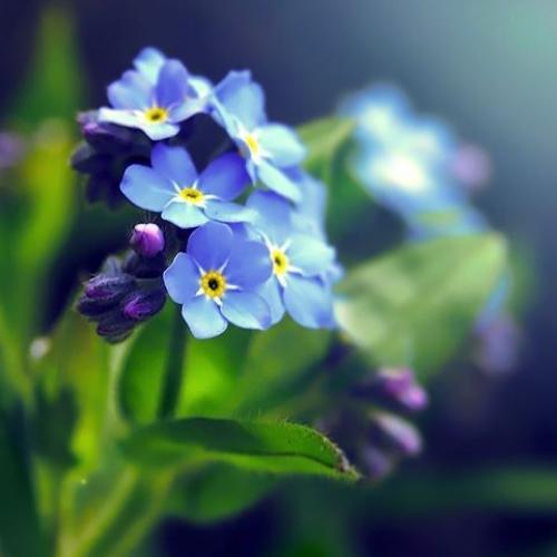 สมาชิกหมายเลข 6439526