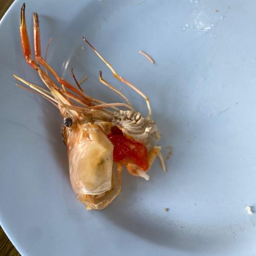 สมาชิกหมายเลข 2660454