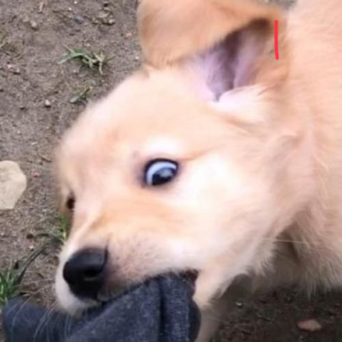 สมาชิกหมายเลข 6535361