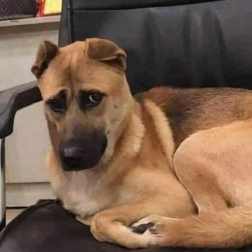 สมาชิกหมายเลข 7119277