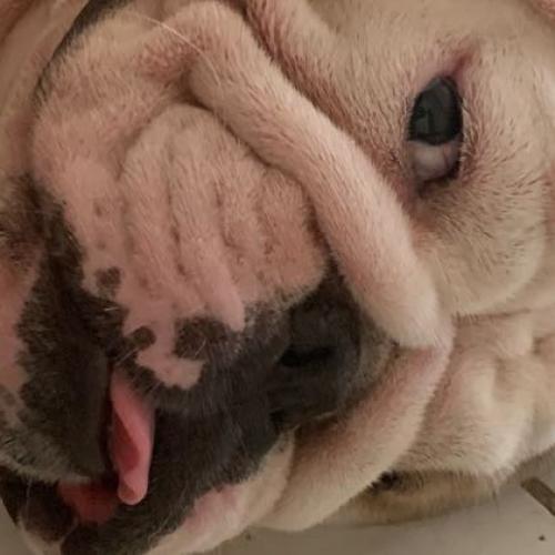 สมาชิกหมายเลข 7925457