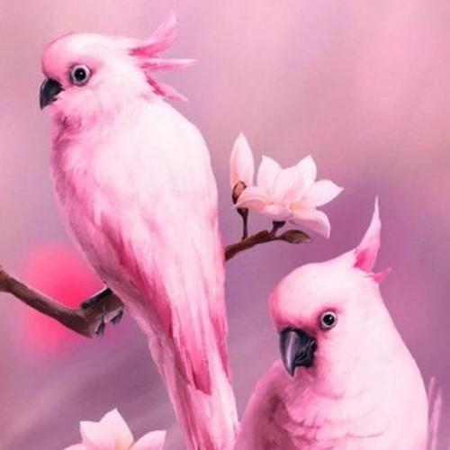 สมาชิกหมายเลข 6407088